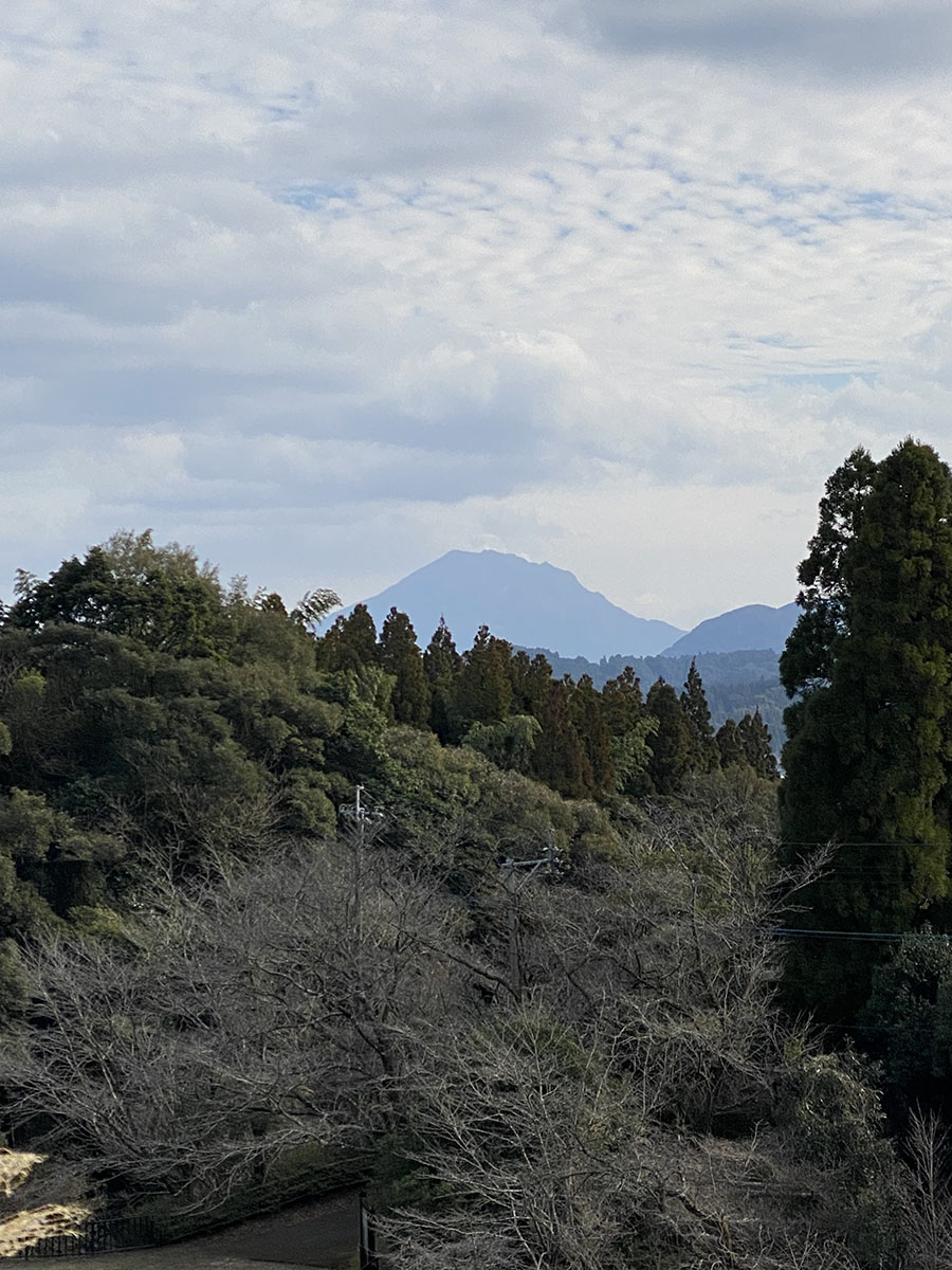 小高い所に登ると、遠くに桜島が見えました。いつもとは違った角度から見る桜島は新鮮です。