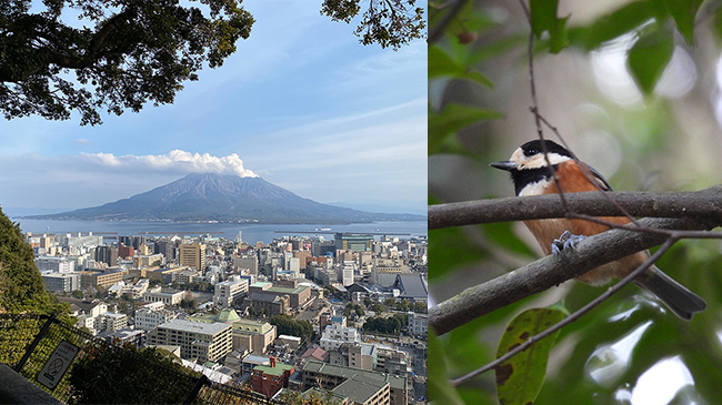 てくてく歩いてリフレッシュ!～鹿児島市城山散歩～｜てのん 人